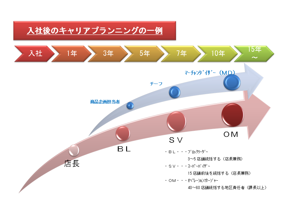 入社後のキャリアプランニング一例